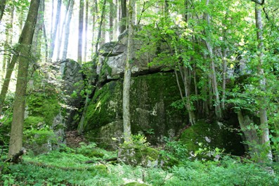 Naturschutzgebiet Gro&szlig;er Stein