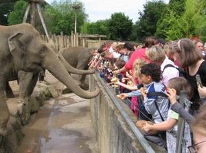 Bild vergr��ern: Ferienspiele