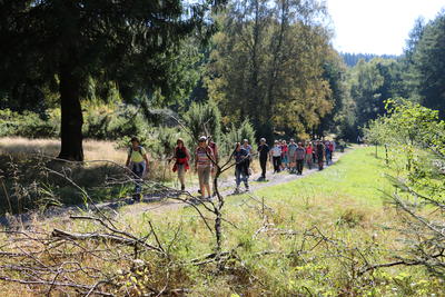 Bild vergr��ern: 15 gef�hrte Wandertouren hat die Tourist-Information der Gemeinde Burbach in einem informativen Flyer zusammengestellt. Die Palette reicht von der Pilzexkursion �ber Themenwanderungen bis hin zum �Waldbaden�.