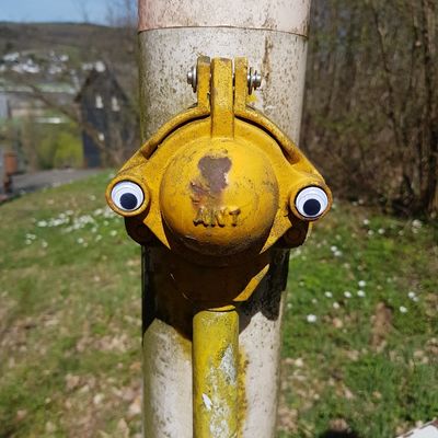 Bild vergr��ern: 20180615 PM Ab in den Wald 1