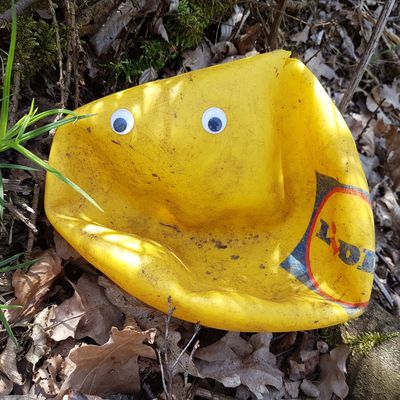 Bild vergr��ern: 20180615 PM Ab in den Wald 2