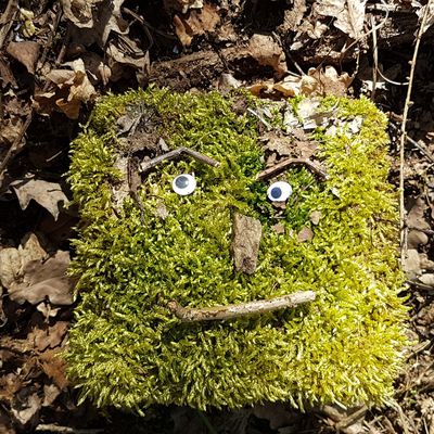 Bild vergr��ern: 20180615 PM Ab in den Wald 4