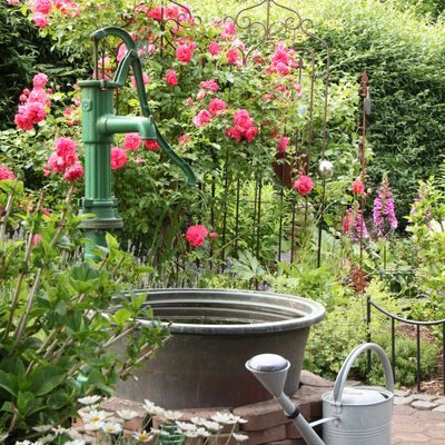 Bild vergr��ern: 20190625 PM Tag der offenen Gartent�r