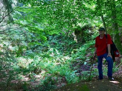 Bild vergr��ern: Auf den gef�hrten Wanderungen an der keltischen Wallburg und im Buchhellertal gibt es jede Menge zu entdecken