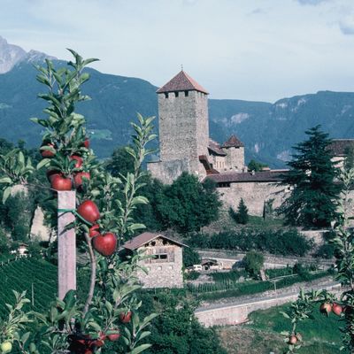 Bild vergr��ern: Meran1