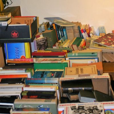 Bild vergr��ern: B�cherflohmarkt