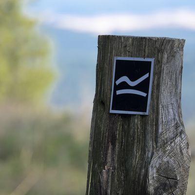 Bild vergr��ern: Wegezeichen Rothaarsteig-Spuren (c) Rothaarsteigverein e.V._Klaus-Peter Kappest