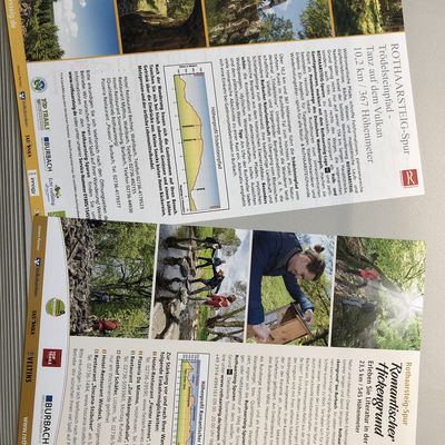 Bild vergr��ern: Wandern im Dreil�ndereck - Rothaarsteigspuren