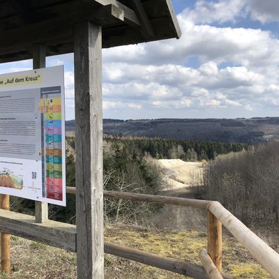 Bild vergr��ern: Wandern im Dreil�ndereck 2