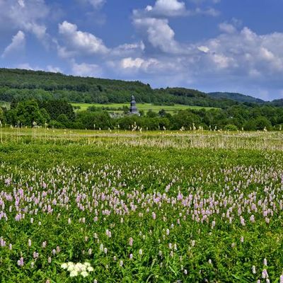 Bild vergr��ern: Wetterbachtal_front_magnific - Ulrich Krumm