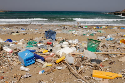 Bild vergr��ern: Plage polluée en Crète