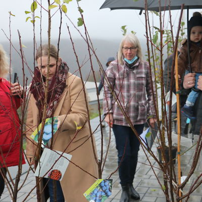 Bild vergr��ern: Mehr als die H�lfte der Familien, die sich f�r einen Willkommensbaum f�r den eigenen Garten entschieden hatten, holten die jungen St�mme nun am Schulzentrum Burbach ab.