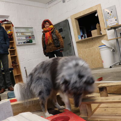 Bild vergr��ern: Sheltie-R�de Sami sucht nach einem verstecken Gegenstand. Nach wenigen Augenblicken wird er unter den Blicken von B�rgermeister Christoph Ewers und Hundetrainerin Uschi Loth f�ndig.