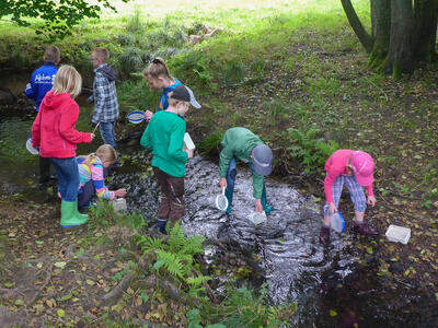 Bild vergr��ern: Die Biologische Station l�dt am 22. April M�dchen und Jungen zu einer spannenden Bacherkundung an die Ilse nach Bad Laasphe-Feudingen ein.