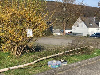 Bild vergr��ern: IMG_3039