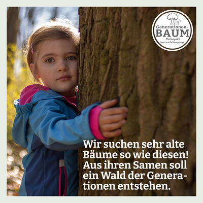 Bild vergr��ern: nats-generationen-baueme-social-media-posts-AD12