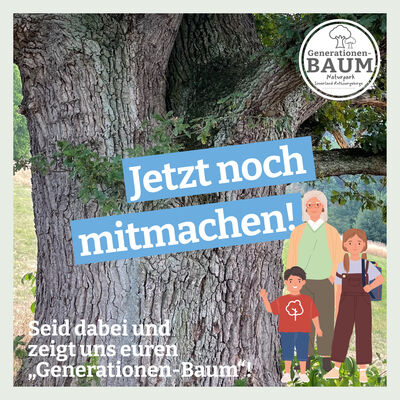 Bild vergr��ern: nats-generationen-baueme-social-media-posts-AD14
