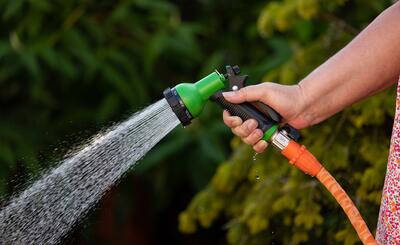 Bild vergr��ern: Voraussetzung f�r die F�rderung ist die Nutzung des Regenwassers zur Gartenbew�sserung.