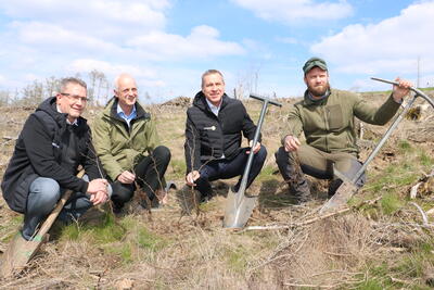 Bild vergr��ern: eltherm-Gesch�ftsf�hrer Michael Thomas, Burbachs B�rgermeister Christoph Ewers, eltherm-Gesch�ftsf�hrer Daniel Eichert und F�rster Maik-Oliver Hoffmann (v.l.n.r.) pflanzten Eichen-Setzlinge auf der Kahlfl�che.