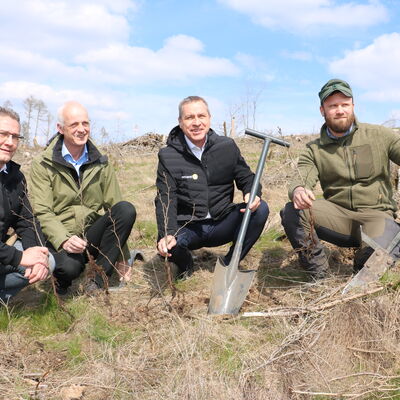 Bild vergr��ern: eltherm-Gesch�ftsf�hrer Michael Thomas, Burbachs B�rgermeister Christoph Ewers, eltherm-Gesch�ftsf�hrer Daniel Eichert und F�rster Maik-Oliver Hoffmann (v.l.n.r.) pflanzten Eichen-Setzlinge auf der Kahlfl�che.