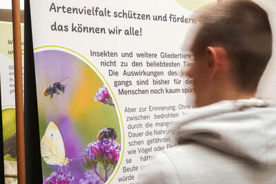 Bild vergr��ern: Die NUA-Ausstellung ist bis zum 16.07. in der Alten Vogtei zu besuchen. Foto: NUA