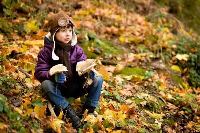 Bild vergr��ern: Der Herbst ist eine bunte und spannende Jahreszeit in der Natur.