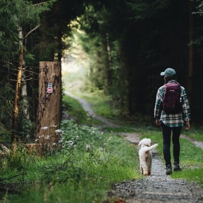 Bild vergr��ern: Auch Hunde sind auf dem Rothaarsteig und in den Qualit�tsbetrieben entlang der Strecken herzlich willkommen.