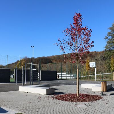 Bild vergr��ern: Ab sofort sind auch das Streetball-Feld, die Calisthenics-Anlage sowie die Sitzgelegenheiten bedenkenlos nutzbar.