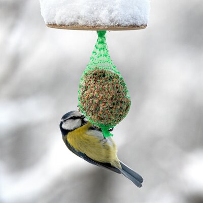 Bild vergr��ern: Symbolbild Vogelfutter-Anh�nger
