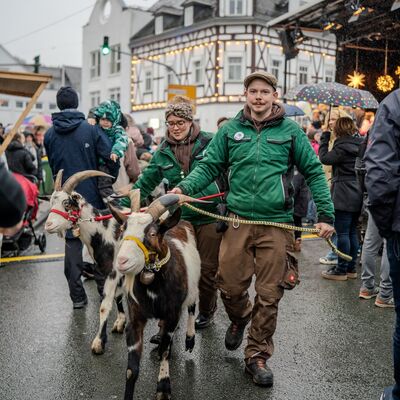 Bild vergr��ern: Familie Reuter besuchte mit ihren Hickenziegen den Weihnachtsmarkt.