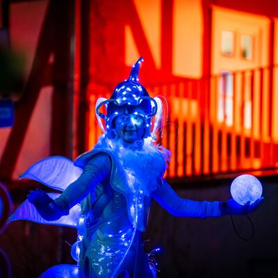 Bild vergr��ern: M�rchenhafte Kleinkunst beim Lichterzauber.