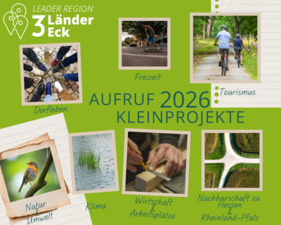Bild vergr��ern: Kleinprojekte mit einem Volumen bis zu 20.000 Euro k�nnen mit maximal 80 % gef�rdert werden.