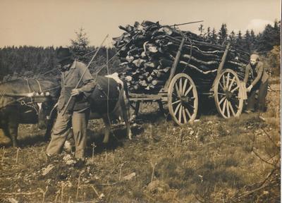 Bild vergr��ern: Mit dem guten alten Karren wurde fr�her das Holz aus dem Hauberg geholt.