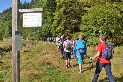 Bild vergr��ern: Zw�lf gef�hrte Wandertouren hat die Tourist-Information der Gemeinde Burbach in einem informativen Flyer zusammengestellt. Auch Wanderungen �ber den Tr�delsteinpfad sind dabei.